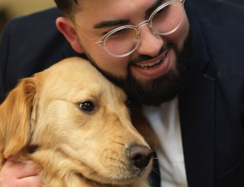 Why Pet Ownership May Help Slow Cognitive Decline